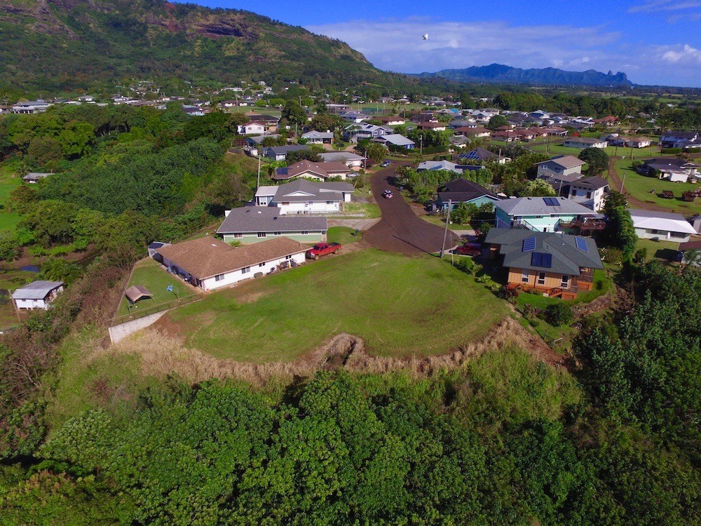 173 Eggerking Road Kapaa, HI 96746 - Photo 3 of 11 an aerial view of residential houses with outdoor space and trees