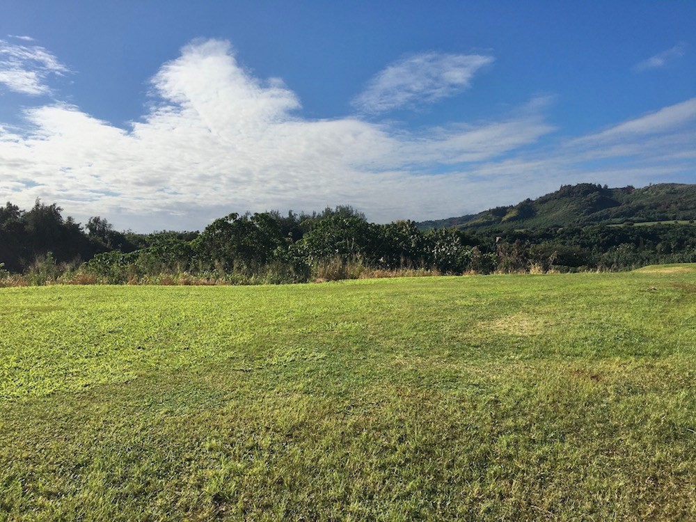173 Eggerking Road Kapaa, HI 96746 - Photo 7 of 11 a view of a lake with houses in the background