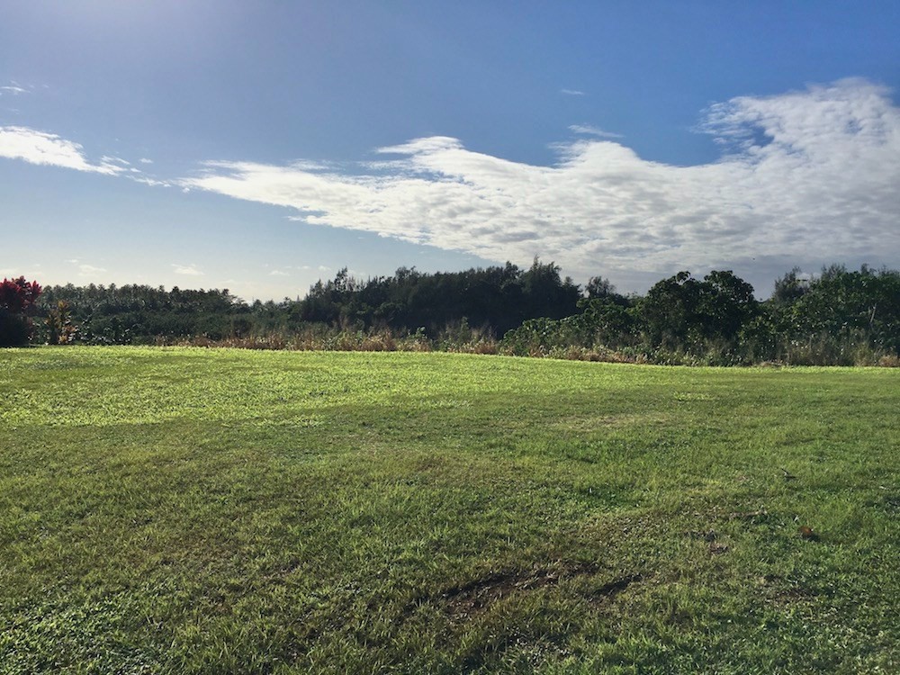 173 Eggerking Road Kapaa, HI 96746 - Photo 10 of 11 a view of a field with an ocean in background