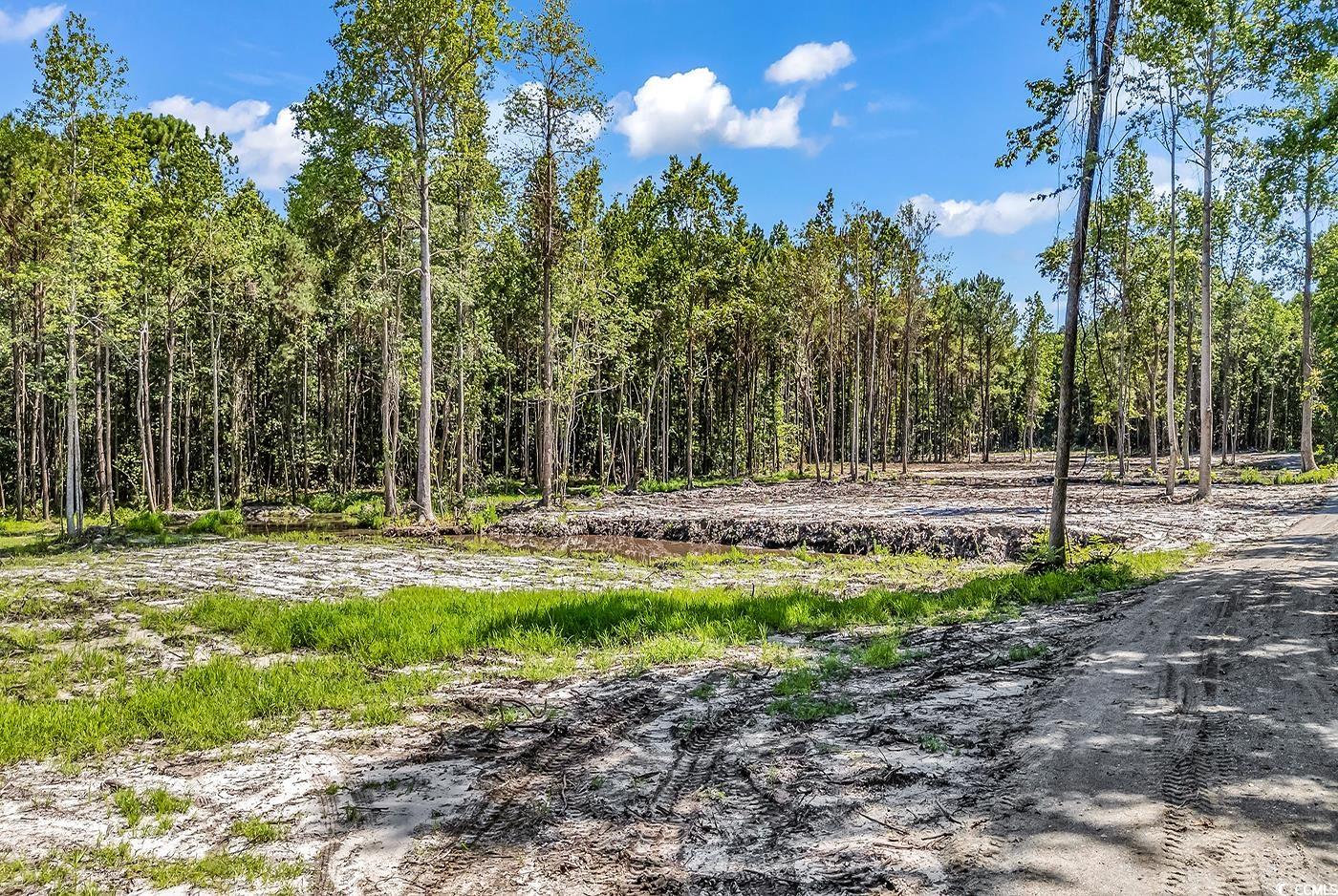 Tbb1 Coats Road Loris, SC 29569 - Photo 7 of 10 View of dirt / gravel road featuring a wooded view