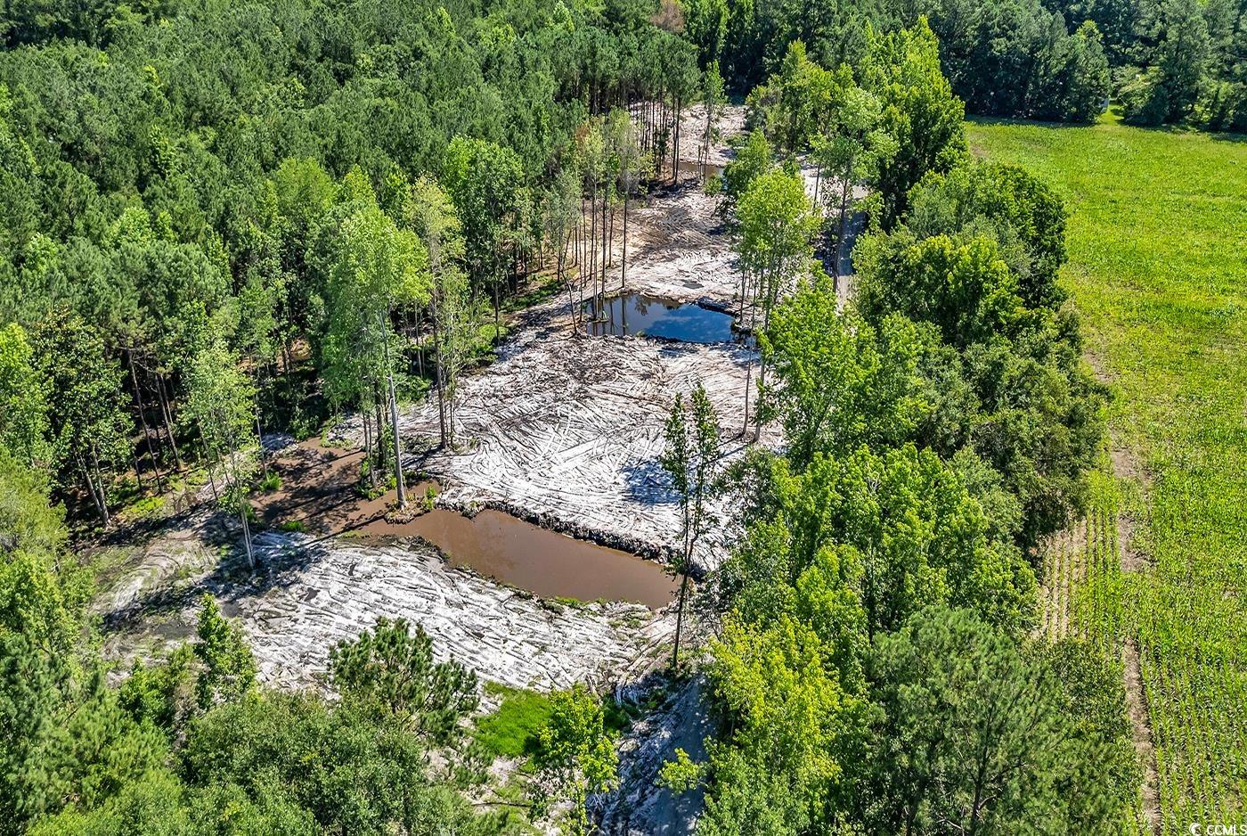 Tbb1 Coats Road Loris, SC 29569 - Photo 8 of 10