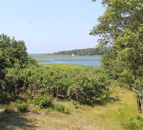 11 Cliff's Road Wareham, MA 02571 - Photo 14 of 14
