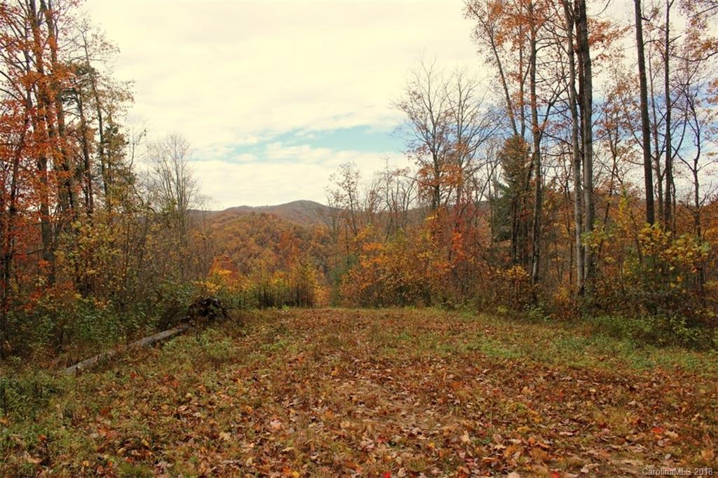 Tbd Meadow Fork School Road, Unit 5 Hot Springs, NC 28743 - Photo 1 of 11 Gallery Image 1