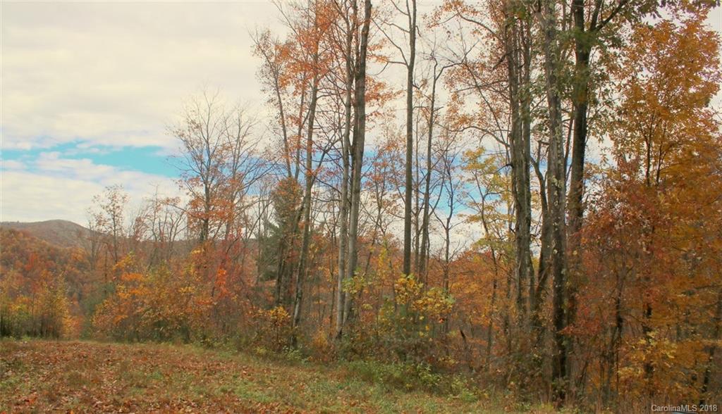 Tbd Meadow Fork School Road, Unit 5 Hot Springs, NC 28743 - Photo 2 of 11 Gallery Image 2