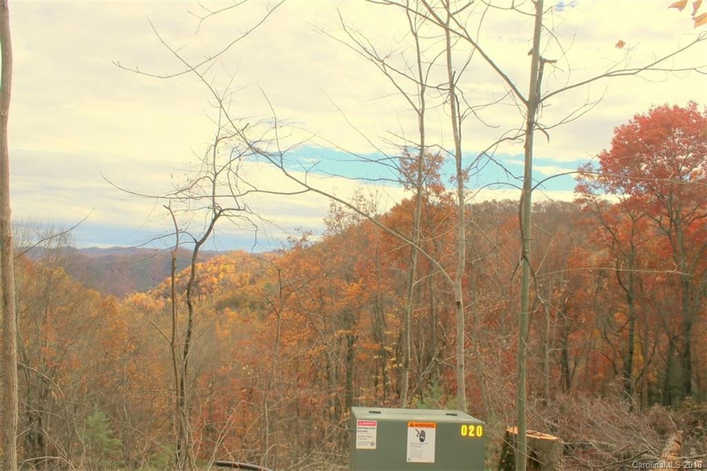 Tbd Meadow Fork School Road, Unit 5 Hot Springs, NC 28743 - Photo 3 of 11 Gallery Image 3