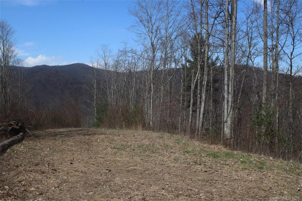 Tbd Meadow Fork School Road, Unit 5 Hot Springs, NC 28743 - Photo 4 of 11 Gallery Image 4