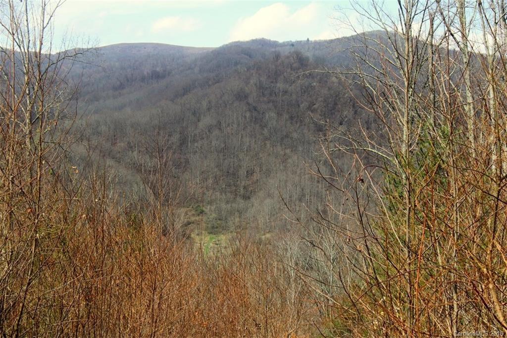 Tbd Meadow Fork School Road, Unit 5 Hot Springs, NC 28743 - Photo 5 of 11 Gallery Image 5