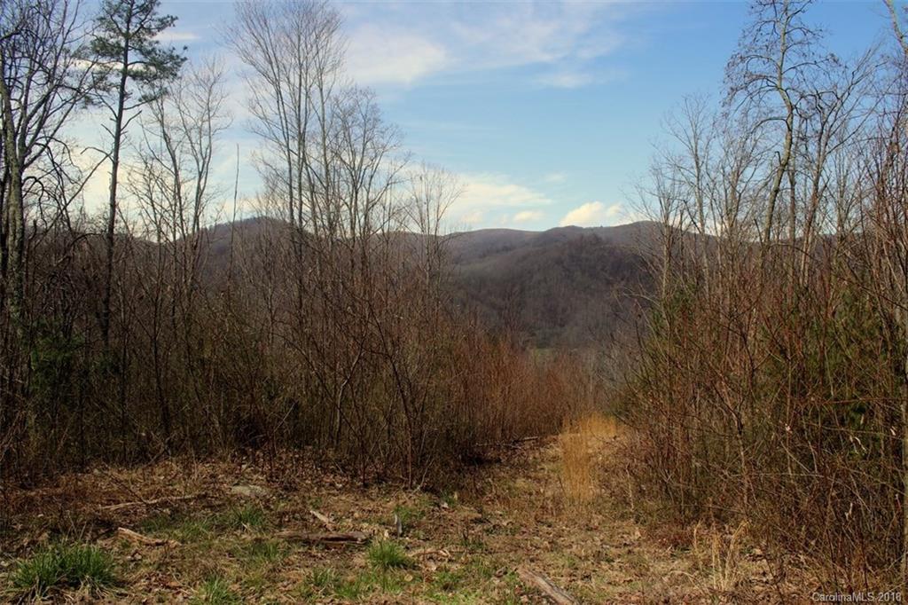 Tbd Meadow Fork School Road, Unit 5 Hot Springs, NC 28743 - Photo 6 of 11 Gallery Image 6