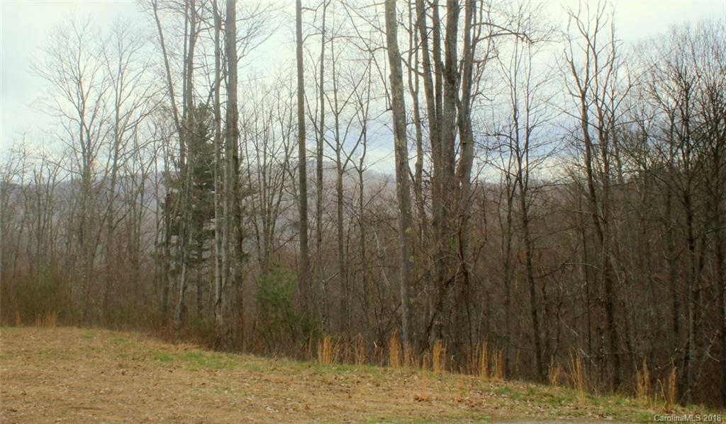 Tbd Meadow Fork School Road, Unit 5 Hot Springs, NC 28743 - Photo 7 of 11 Gallery Image 7