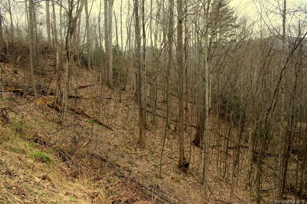Tbd Meadow Fork School Road, Unit 5 Hot Springs, NC 28743 - Photo 8 of 11 Gallery Image 8
