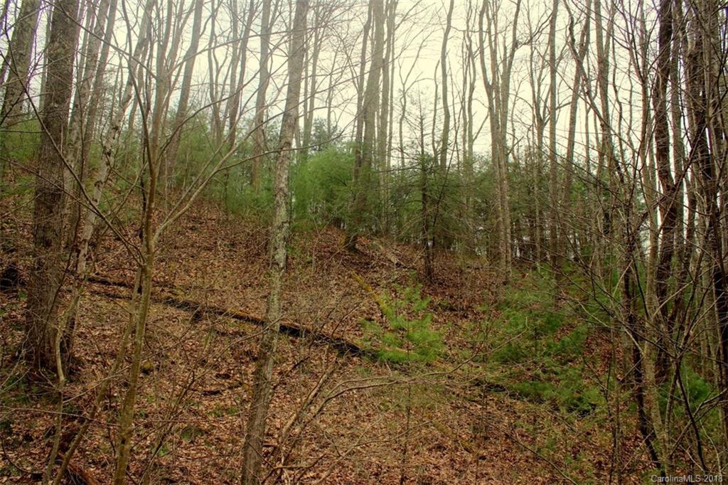 Tbd Meadow Fork School Road, Unit 5 Hot Springs, NC 28743 - Photo 9 of 11 Gallery Image 9