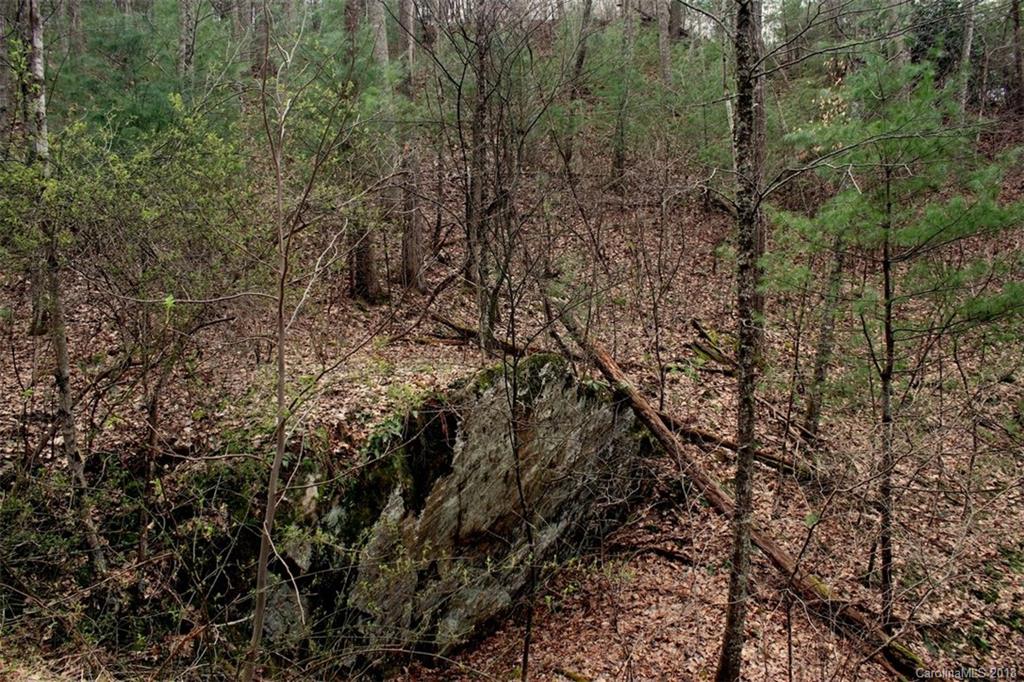 Tbd Meadow Fork School Road, Unit 5 Hot Springs, NC 28743 - Photo 10 of 11 Gallery Image 10