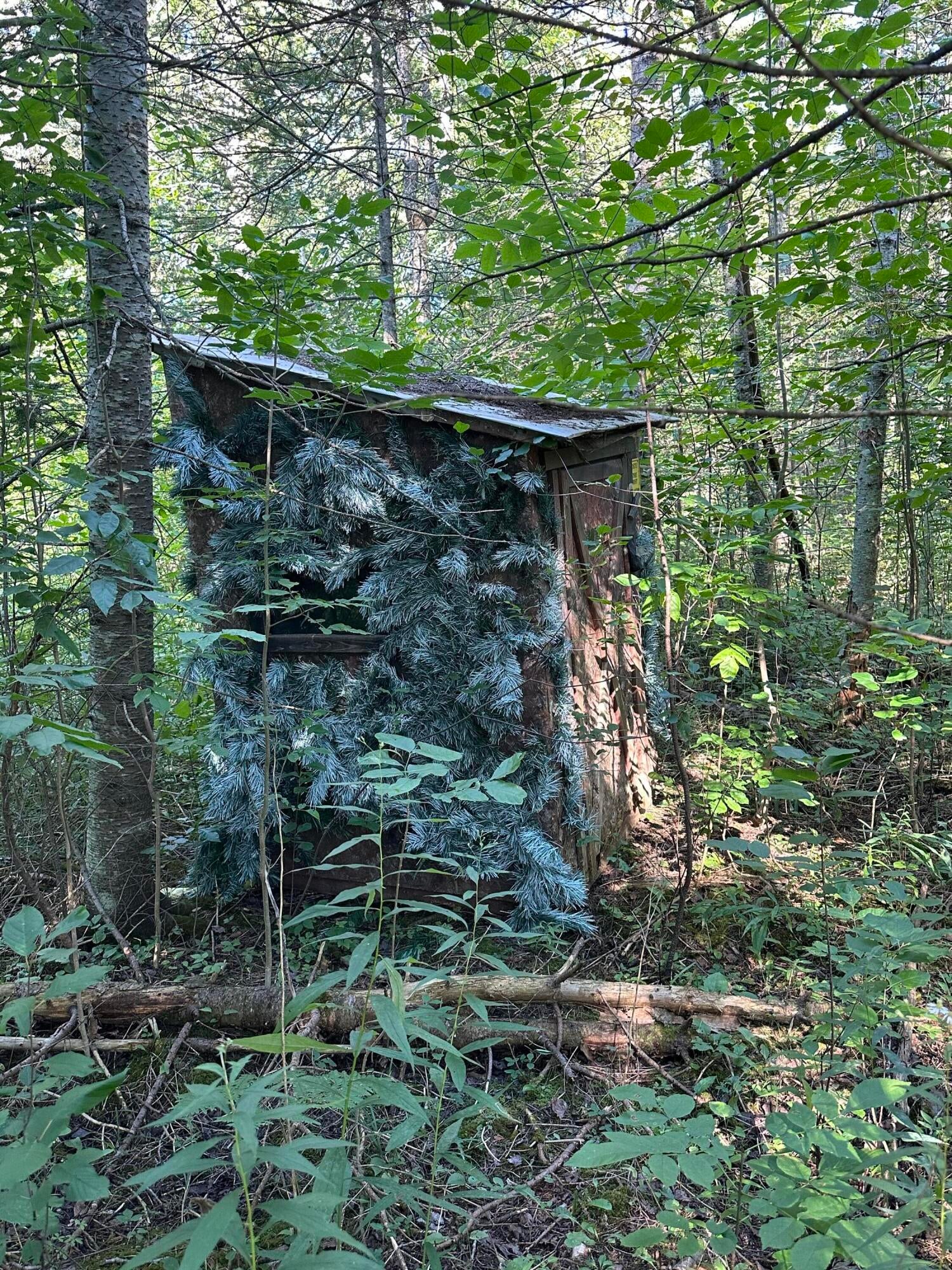 11301 Standen Road Lachine, MI 49753 - Photo 19 of 43 Gallery Image 19