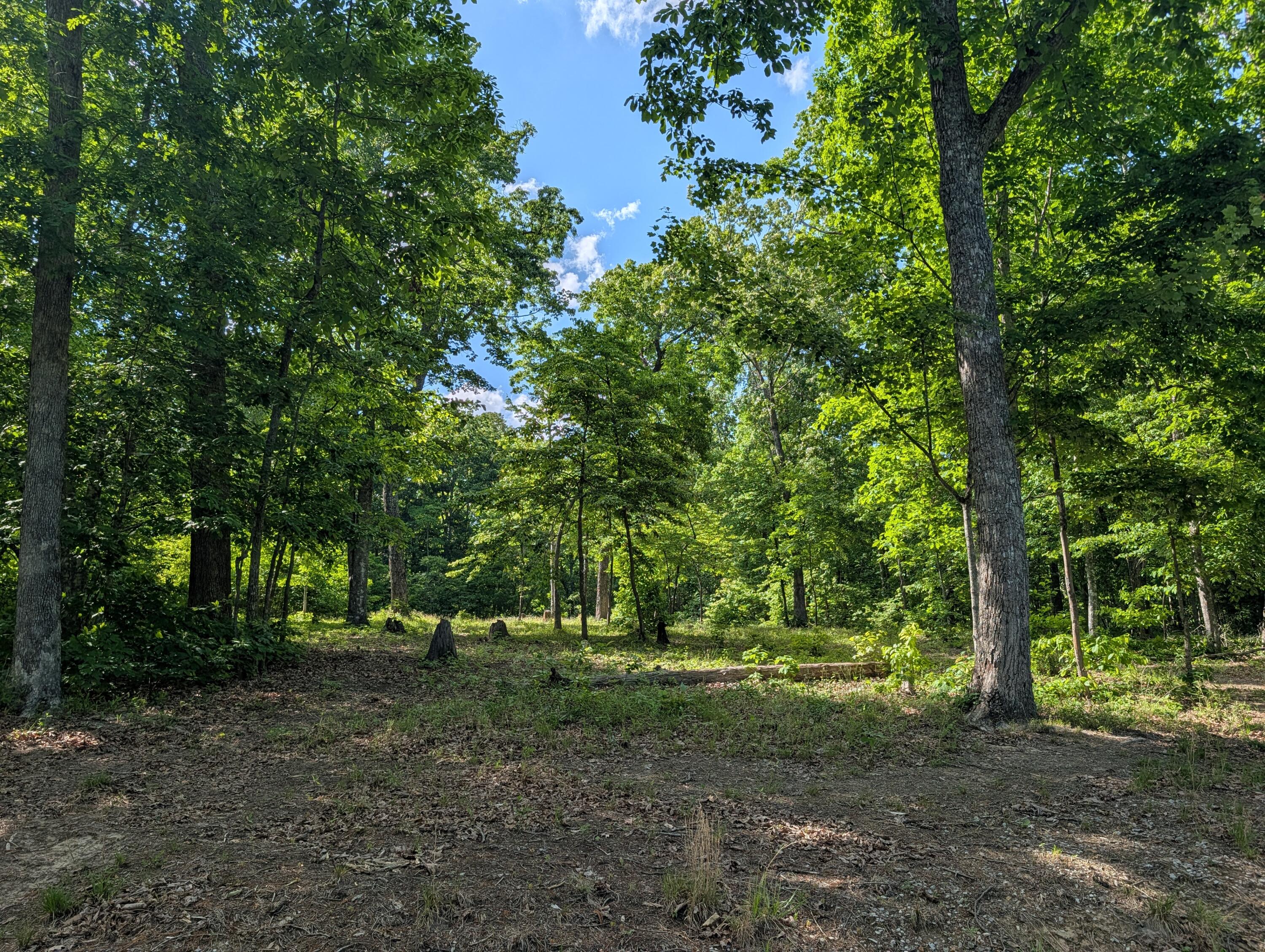 PXL_20260518_204642668