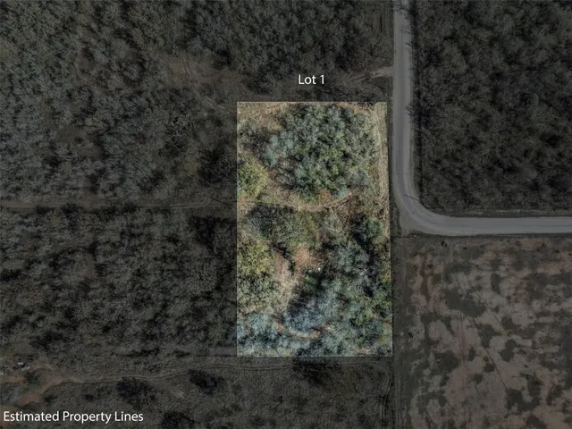 a view of a pathway in a yard