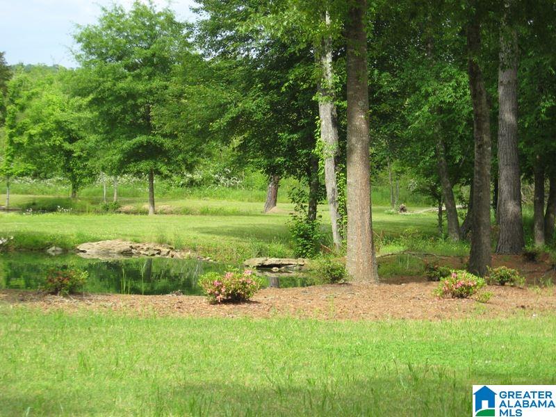 178 Olde Springs Road, Unit 24 Anniston, AL 36207 - Photo 10 of 37
