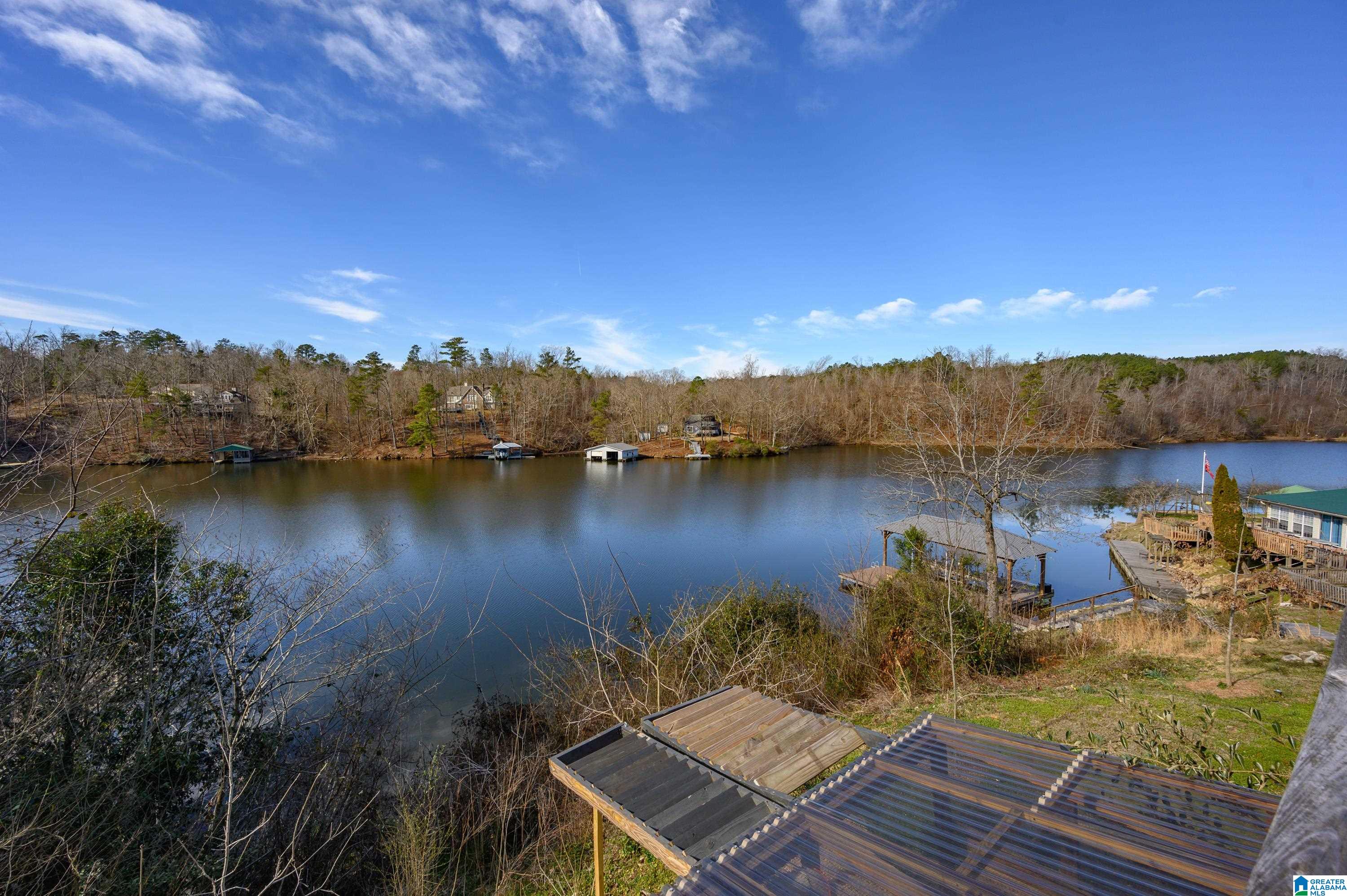 296 Lakeshore Lane Oneonta, AL 35121 - Photo 41 of 66