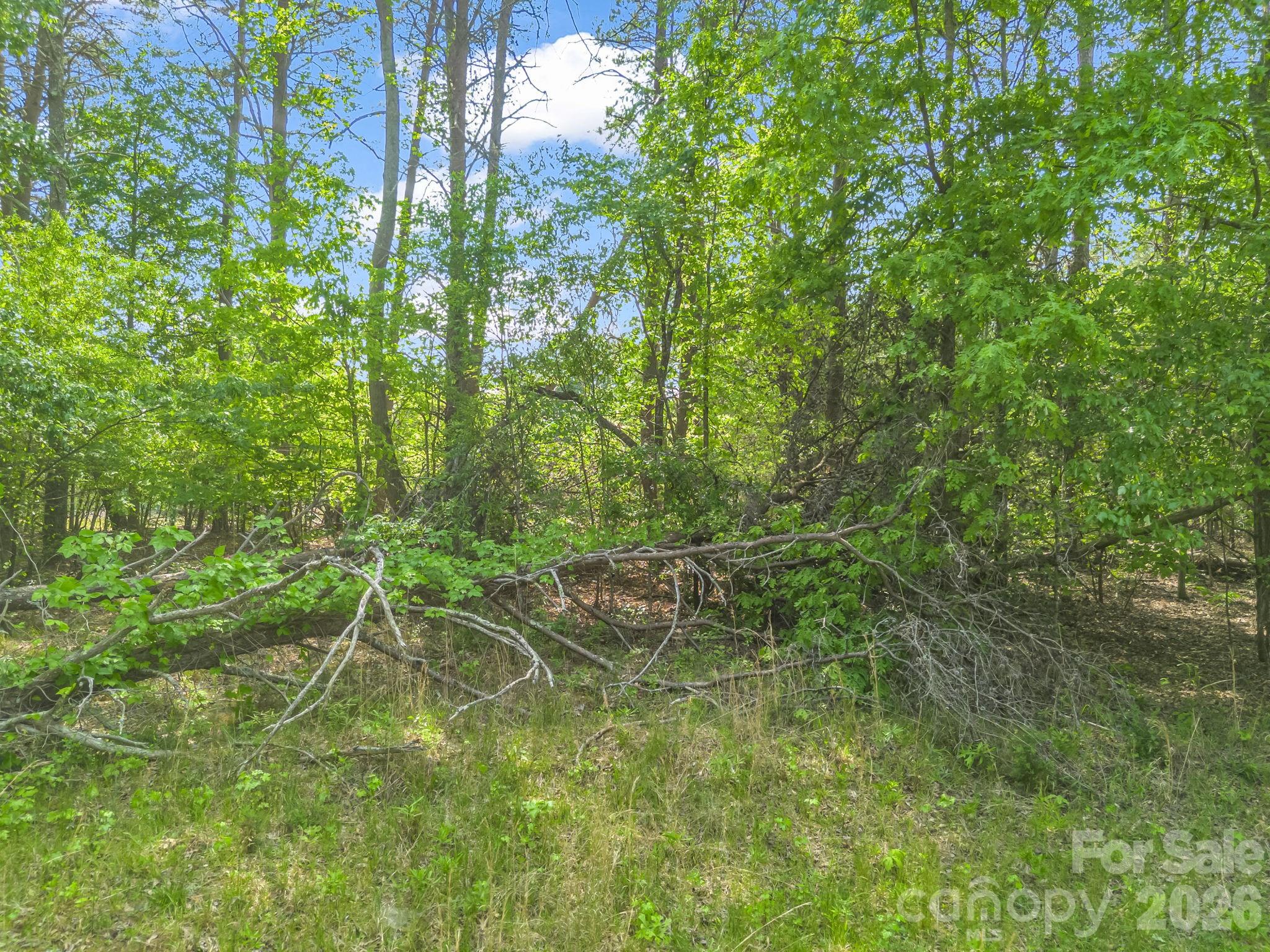 0 Smith Grove Road Forest City, NC 28043 - Photo 9 of 19