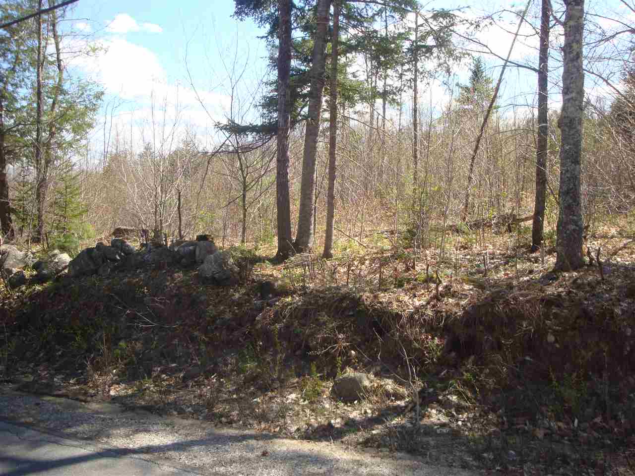 Lot 11 Old Fields Road, Unit 11 Hebron, NH 03241 - Photo 5 of 7 Gallery Image 5