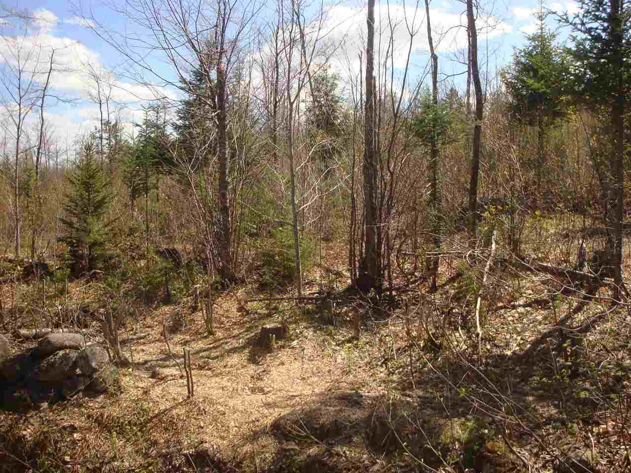 Lot 11 Old Fields Road, Unit 11 Hebron, NH 03241 - Photo 6 of 7 Gallery Image 6