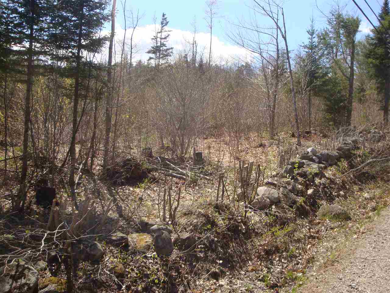 Lot 11 Old Fields Road, Unit 11 Hebron, NH 03241 - Photo 7 of 7 Gallery Image 7