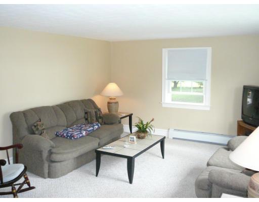 20 Ellery Street Springfield, MA 01129 - Photo 13 of 20 a living room with furniture and a potted plant