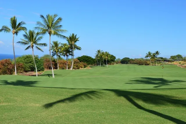 a view of a golf course with a garden
