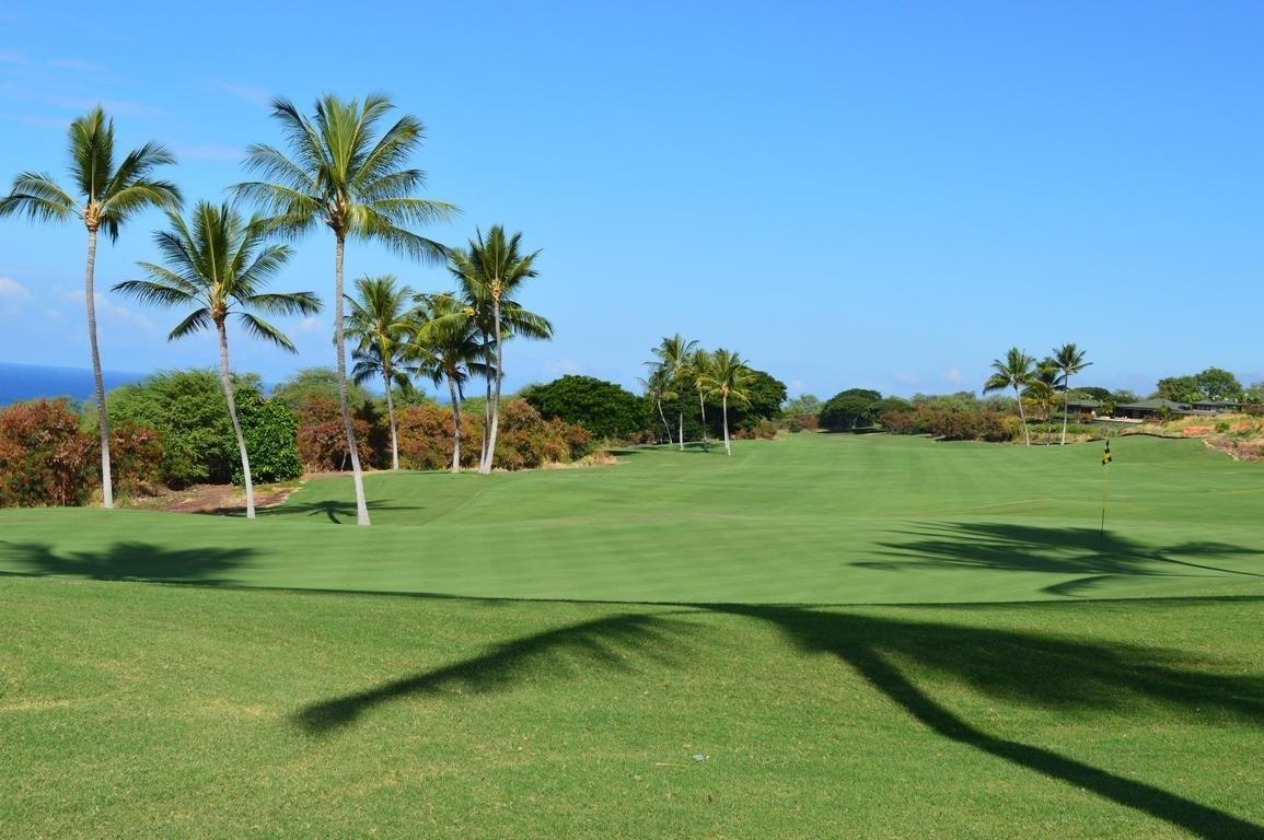 a view of a golf course with a garden