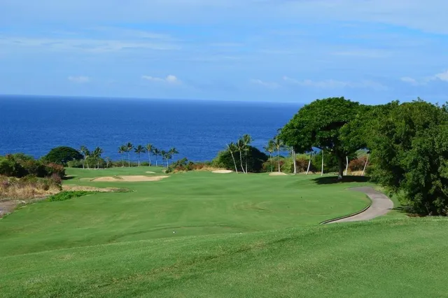 a view of a grassy field with trees