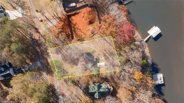 a view of under tree