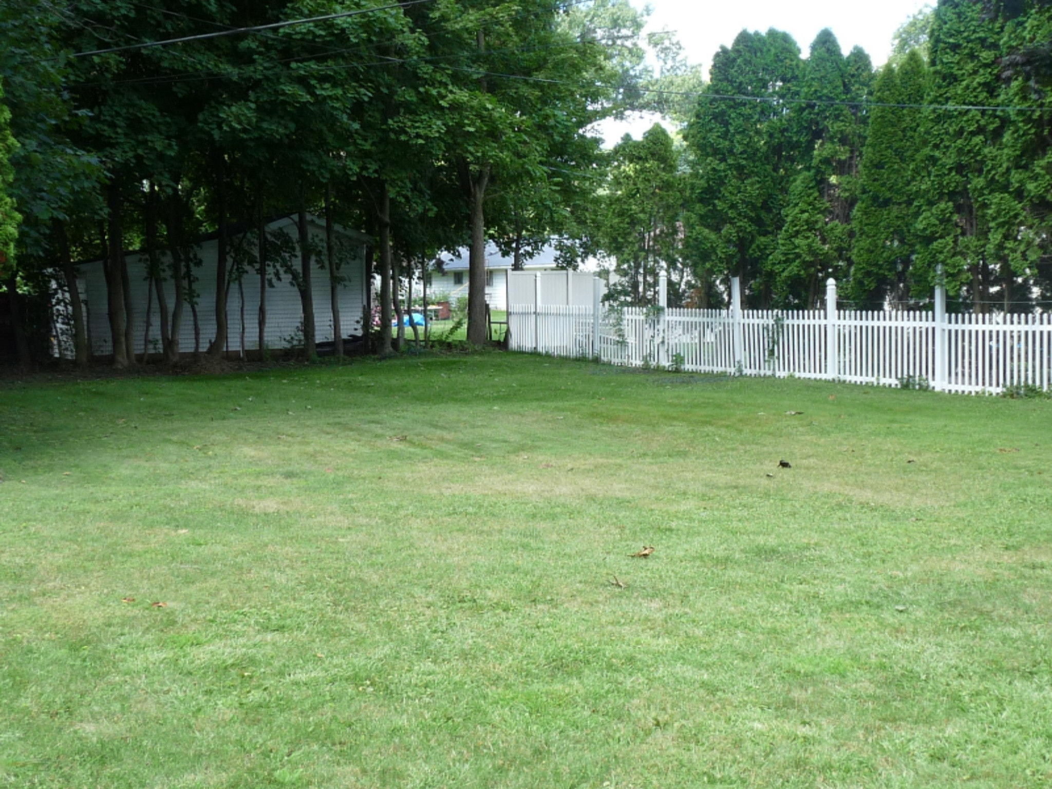 408 Liberty Road Sturgis, MI 49091 - Photo 3 of 43 P1110063
