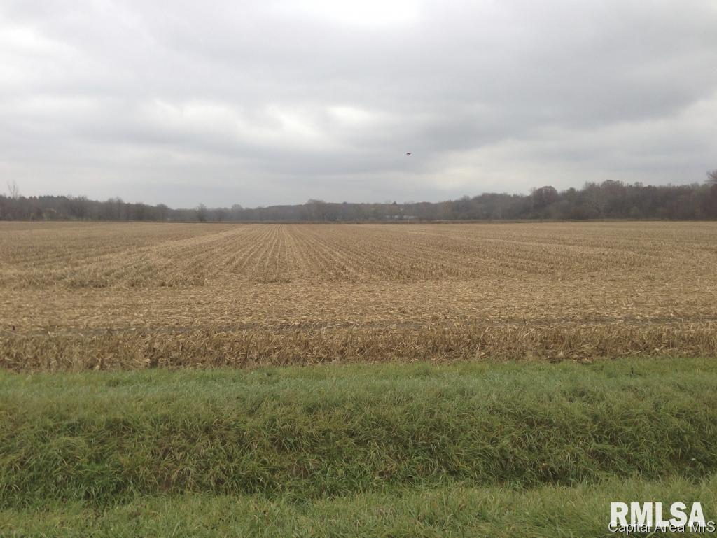 5935 Smith Road Pleasant Plains, IL 62677 - Photo 4 of 6 Gallery Image 4