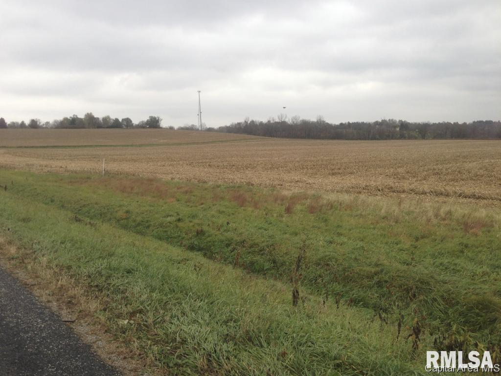 5935 Smith Road Pleasant Plains, IL 62677 - Photo 5 of 6 Gallery Image 5