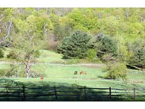 2743 Stage Road Barnard, VT 05067 - Photo 5 of 8