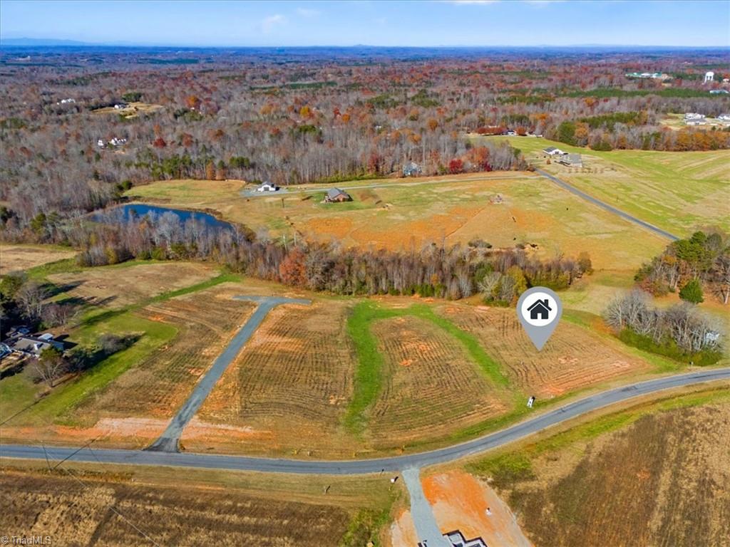 131 Pearson Farm Road Summerfield, NC 27358 - Photo 6 of 13