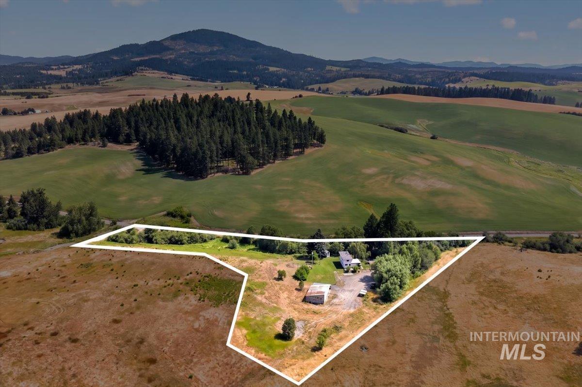 1071 Reynolds Road Princeton, ID 83857 - Photo 3 of 12 Expansive property featuring a single-family residence, multiple outbuildings, mature trees, and open land