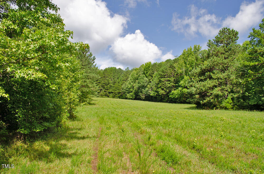 0 Range Road Stem, NC 27581 - Photo 11 of 35 a view of a big yard with large trees