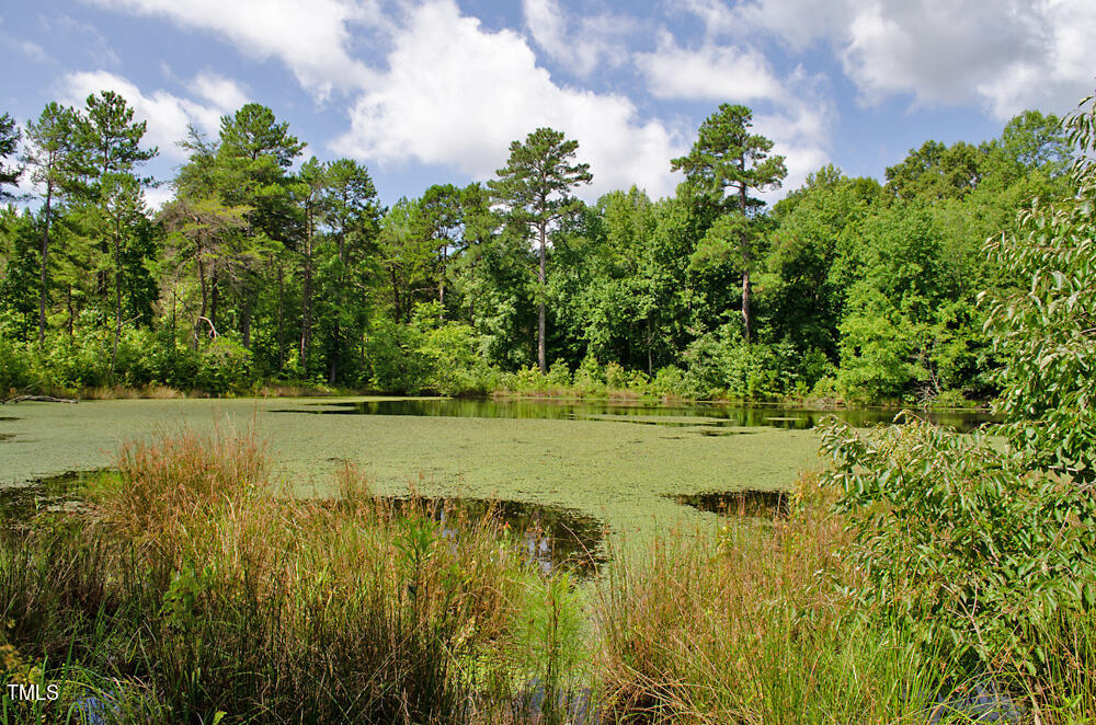 0 Range Road Stem, NC 27581 - Photo 12 of 35 a view of a lake with a yard