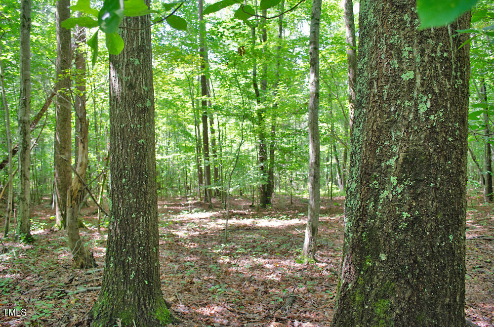 0 Range Road Stem, NC 27581 - Photo 18 of 35 a view of outdoor space and trees