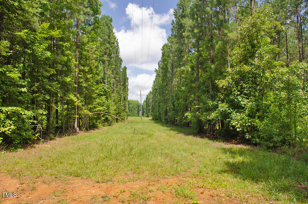 0 Range Road Stem, NC 27581 - Photo 19 of 35 a view of yard with green space