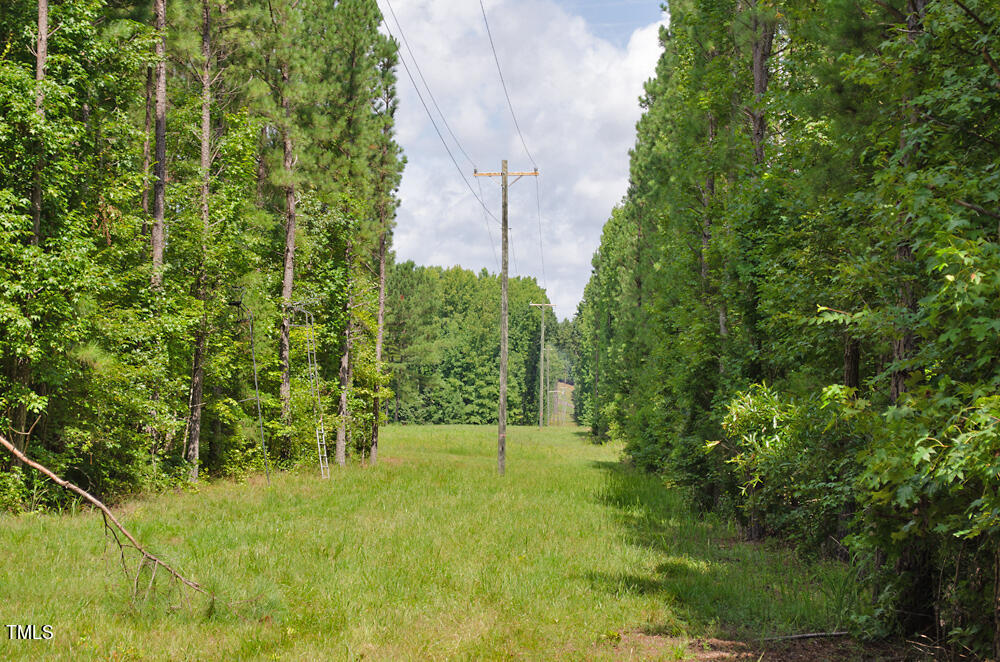 0 Range Road Stem, NC 27581 - Photo 21 of 35 a view of outdoor space and yard