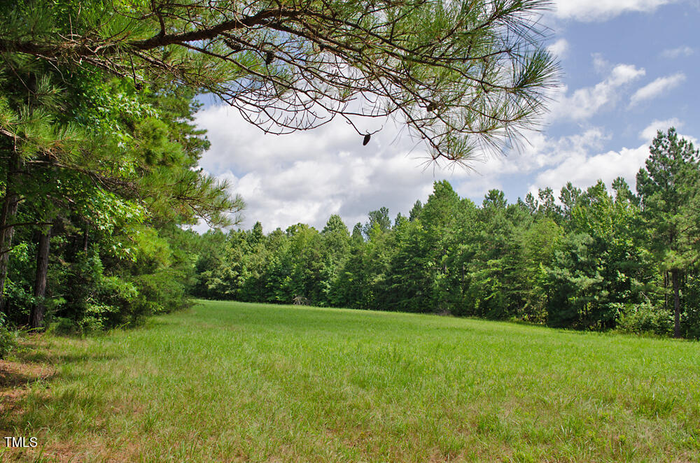 0 Range Road Stem, NC 27581 - Photo 22 of 35 a view of a yard with a tree