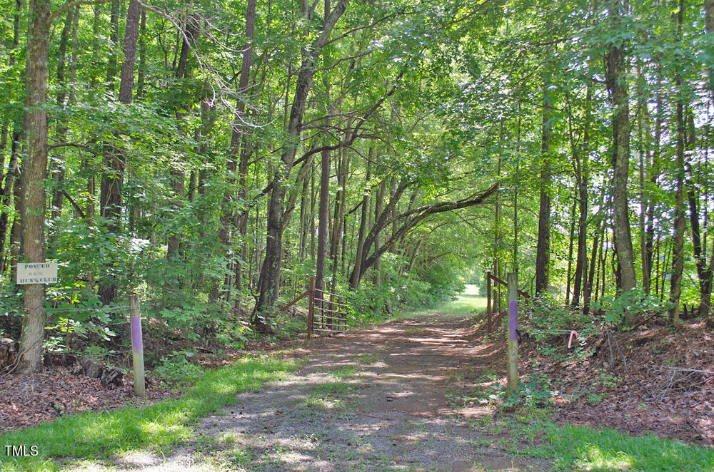 0 Range Road Stem, NC 27581 - Photo 23 of 35 a view of a forest with trees