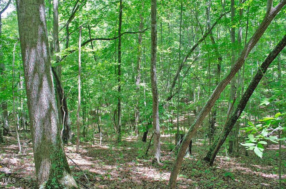 0 Range Road Stem, NC 27581 - Photo 30 of 35 a view of outdoor space and trees