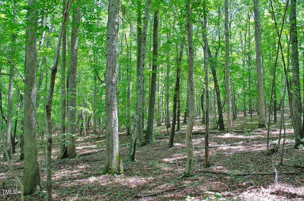 0 Range Road Stem, NC 27581 - Photo 31 of 35 a view of outdoor space and green space