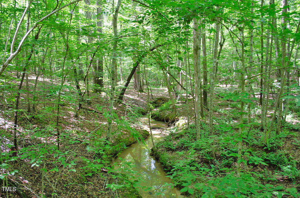 0 Range Road Stem, NC 27581 - Photo 33 of 35 a view of a lush green forest