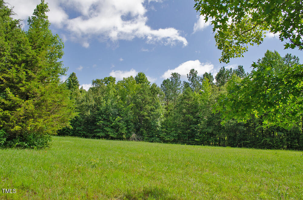 0 Range Road Stem, NC 27581 - Photo 10 of 35 a view of a yard with a tree