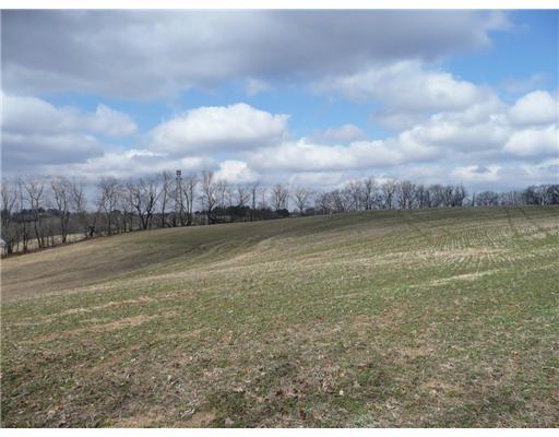 Greenwood Road Fombell, PA 16123 - Photo 5 of 5 Land.