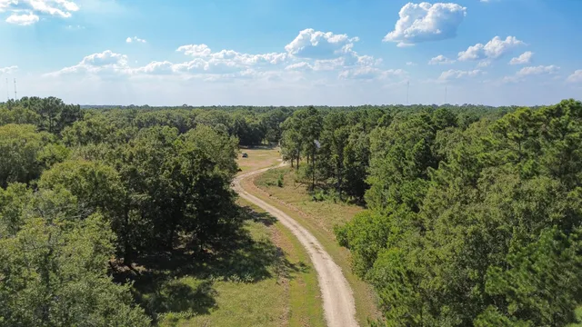 a view of a city with lots of trees