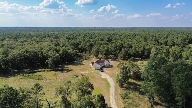 a view of a lake in middle of a forest